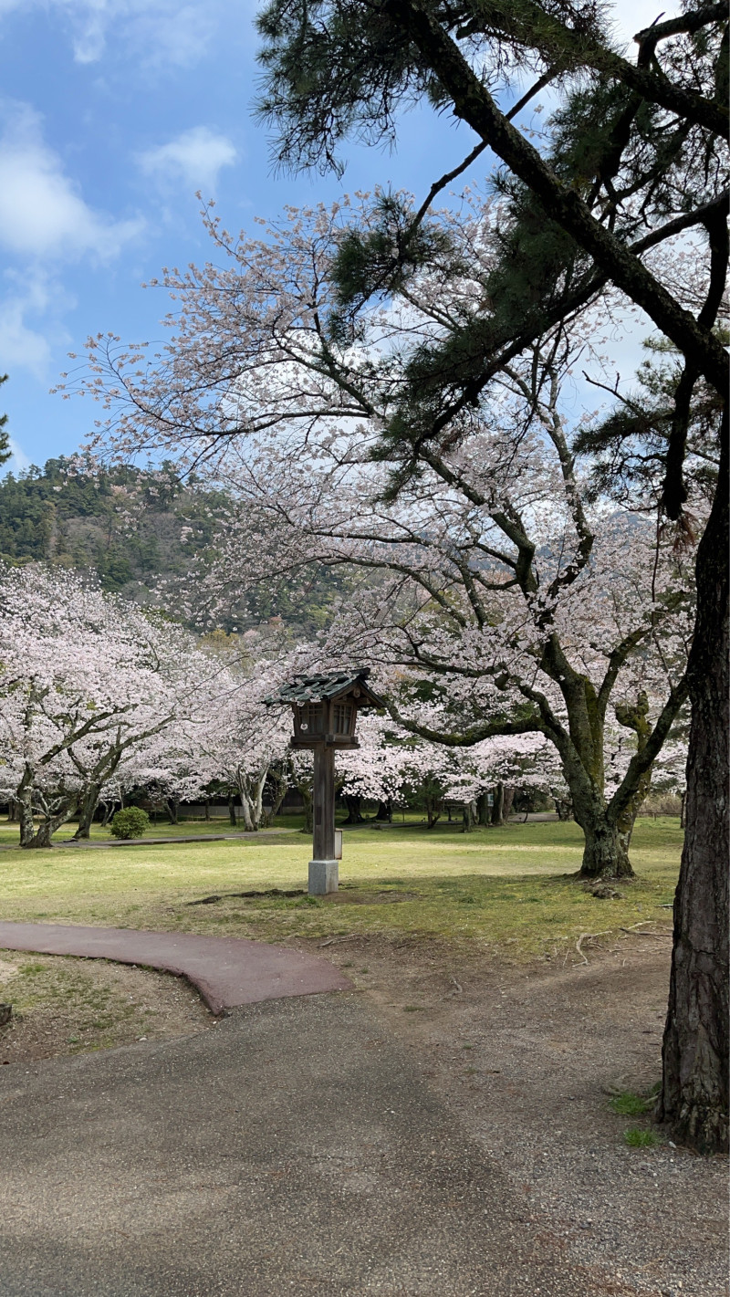 しほの写メ